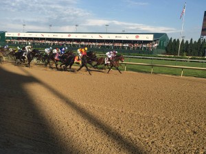 horses racing